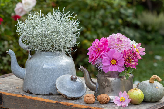 Blumenstrau&szlig; mit pink Schmuckk&ouml;rbchen, Dahlien und Zinnie und Silberdrahtpflanze in alten Teekesseln