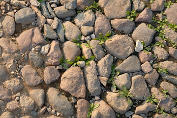 Top view of stone road fragment. Dry land with stones. Abstract natural textured background.