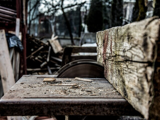 Carpenter's Hands Cutting Wood With Tablesaw