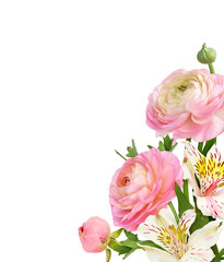 Pink ranunculus and alstroemeria flowers in a corner  floral arrangement isolated on white or transparent background