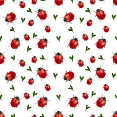 Ladybugs with a green leaf on a white background © Tina Sh