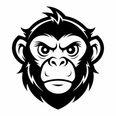 Obraz premium monkey 