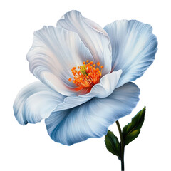 Oil painting of a flower bloom on a transparent background.