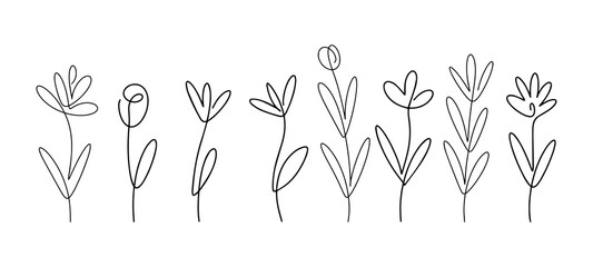 Vector illustration. Flower with one black line without lifting the hand on a white background. Set.