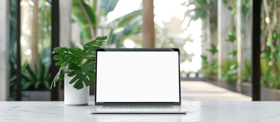 High resolution, very detailed mockup of an open laptop with a blank white screen sitting on a modern office desk, with a bokeh background of a glass door and window with blurred green plants