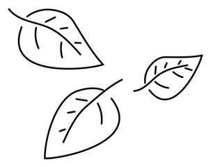 leaf, icon, fall leaf solid black icon. vector illustration isolated on white or transparent background, hand drawn logo element. print vector symbol.	