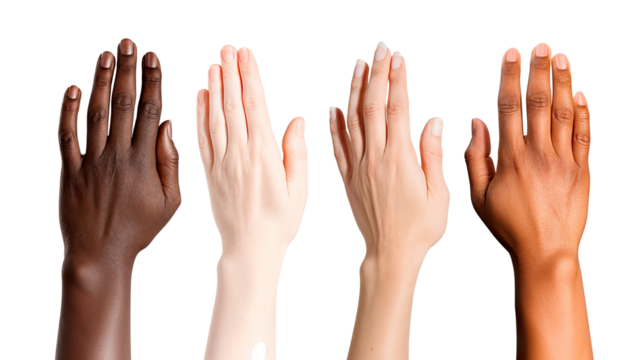 Hands of different people, of diverse race, skin color, gender raising. Human rights and equality. Concept of human relation, community, togetherness, symbolism, culture. Isolated PNG image