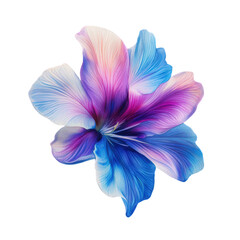 Watercolour of a single flower bloom with a transparent background.