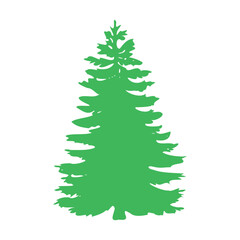 Green silhouette of lush Christmas tree. Vector on white background