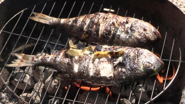 cuisson de dorades au barbecue	