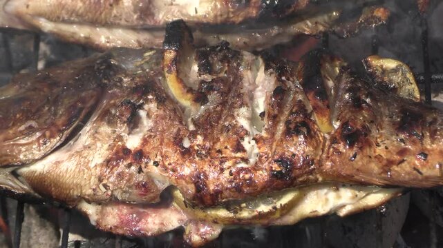 cuisson de dorades au barbecue	