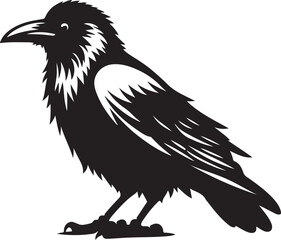 Crow silhouette vector art illustration