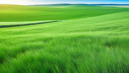 Vibrant green grasslands, clear blue sky, and natural vitality