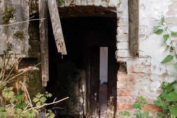Fototapeta premium An Overgrown Doorway: Nature Reclaims an Abandoned Building