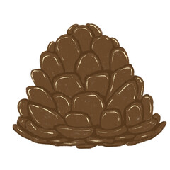 pine cone isolated on white