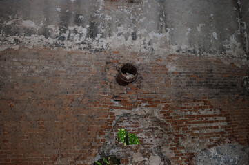 A Glimpse into Decay: The Weathered Wall of an Abandoned Structure