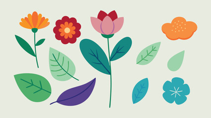 Leaves and Flower vector illustration