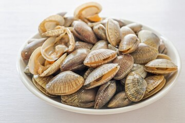 Fresh clams in white ceramic on white background