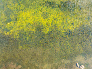 Aerial view of lake or river green shore with forest. Summer season. © Dmitrii Potashkin