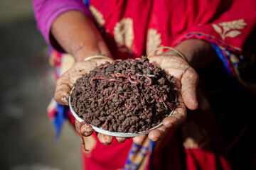 A rural woman trader displays vermicompost fertilizer in her palm.