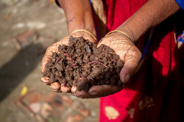 A rural woman trader displays vermicompost fertilizer in her palm.