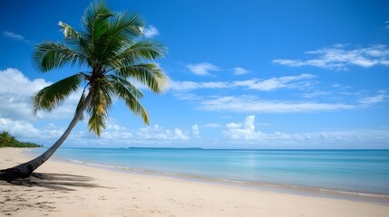 Tropical beach paradise with palm tree