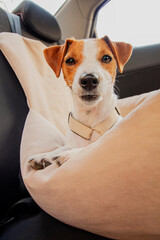 A small dog resting comfortably on a soft car seat cover during a sunny drive