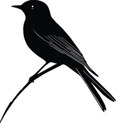 A bird icon and logo on a white background- Simple Vactor illustration.