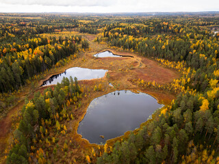 Picturesque view of autumn forest and swamps from a bird's eye view. The beauty of Karelia's nature
