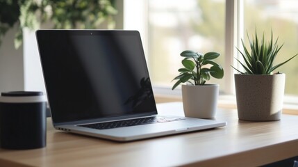 Fototapeta premium A laptop is open on a wooden desk with a potted plant and a cup