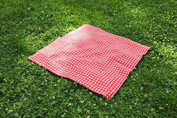 One checkered picnic tablecloth on green grass