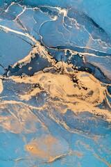 Fototapeta premium Original artwork photo of marble ink abstract art. High resolution photograph from exemplary original painting. Abstract painting was painted on HQ paper texture to create smooth marbling pattern.
