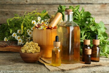 Tinctures in bottles, medicinal herbs and mortar with pestle on wooden table