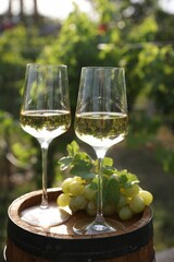 Tasty wine in glasses and grapes on wooden barrel outdoors