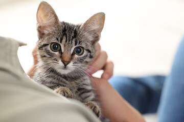 Man with cute kitten at home, closeup