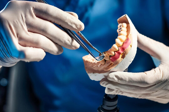 priner plano persona trabajando laboratorio sobre protesis dental medica salud bucal cuidado encias inflamaciones brackets
