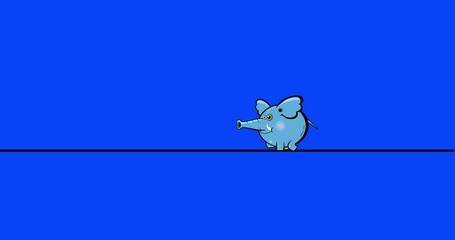 Cartoon blue elephant small walking isolated animation black outline . Animated character isolated good for any material for kids, adverts, etc... Cute linear color animal animation for any 4k video.