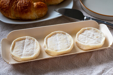 Rocamadour or cabecous soft goat AOC cheese with soft rind produced on farm in Perigord and Quercy on farmers market, departement Lot, France