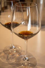 Tasting of sweet Bordeaux white wine in Sauternes, left bank of Gironde Estuary, France. Glasses of white sweet French wine served in restaurant