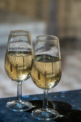 Sherry wine glasses with fino and old church on background at night in Jerez de la Frontera, wine glasses outdoor, cityview, Andalusia, Spain