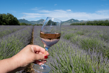 Summer in French Provence, cold gris rose wine from Cotes de Provence and blossoming colorful...