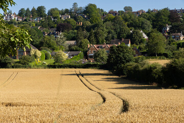 Guildford’s most desirable residential neighbourhood located on Pewley Down to the south of the town centre