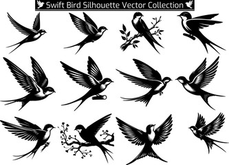 Set of Swift Bird Silhouette Vector Illustration