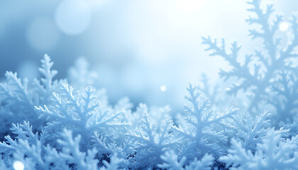 Close-up of delicate frost patterns for winter design inspiration