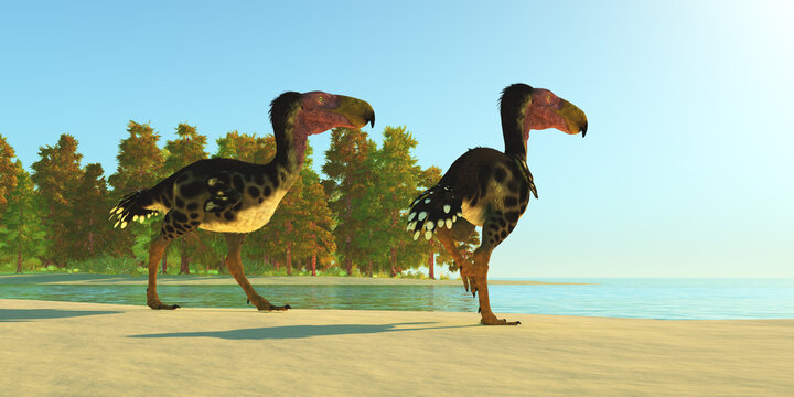 Eocene Kelenken Birds - Two Kelenken Terror Birds come upon a lake during the Miocene Period of Argentina.