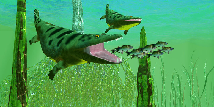 Mastodonsaurus Amphibian Hunting - Mastodonsaurus reptiles chase a school of lake perch during the Triassic Period of Europe.