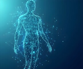 Abstract digital human body. Polygonal wireframe silhouette. Low poly anatomy blue background.