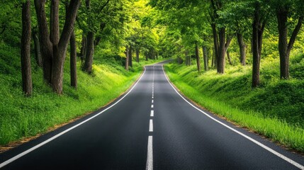 Obraz premium A scenic road leading to a holiday destination, no people, with ample copy space available