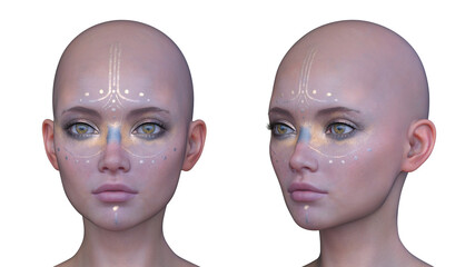 女性の顔アップ 　3DCGレンダリング