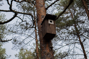 Birdhouse on a tree